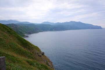 海