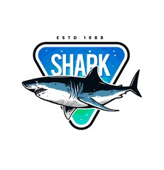 shark mascot design