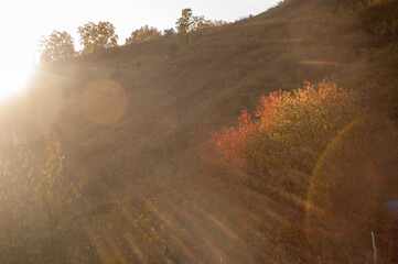 Фото из экопоселения на Алтае "Чачжаевка"