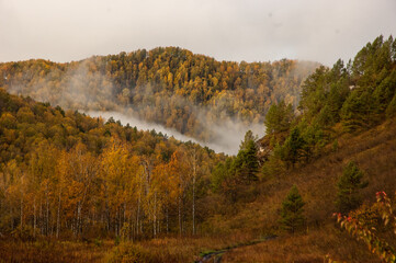 Фото из экопоселения на Алтае "Чачжаевка"