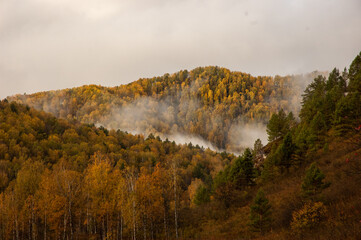 Фото из экопоселения на Алтае "Чачжаевка"