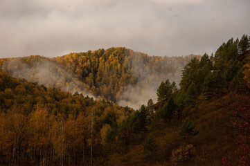 Фото из экопоселения на Алтае "Чачжаевка"