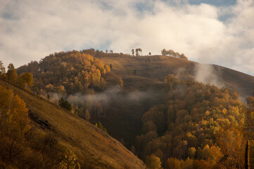 Фото из экопоселения на Алтае "Чачжаевка"