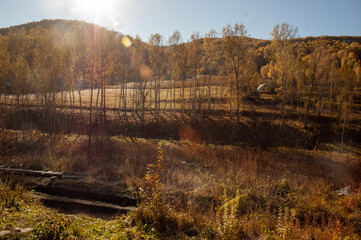 Фото из экопоселения на Алтае "Чачжаевка"