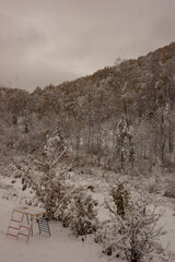 Фото из экопоселения на Алтае "Чачжаевка"