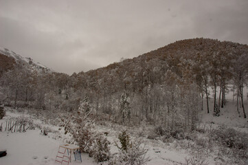 Фото из экопоселения на Алтае "Чачжаевка"
