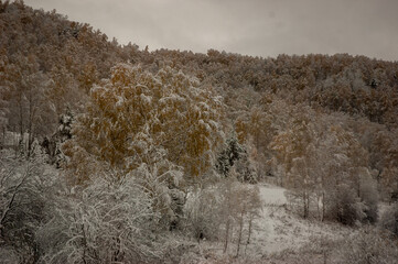 Фото из экопоселения на Алтае "Чачжаевка"