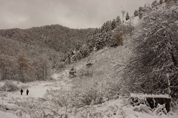 Фото из экопоселения на Алтае "Чачжаевка"