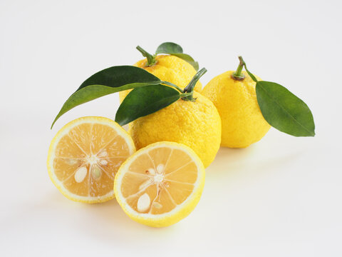 花柚子images Browse 134 Stock Photos Vectors And Video Adobe Stock