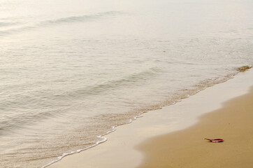 The sea waves hit the beach