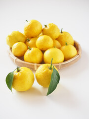 日本の柚子を白背景で