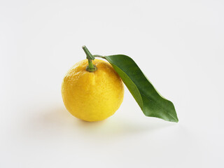 日本の柚子を白背景で