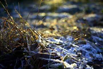 frost on the grass in the sun