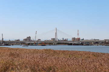 Obraz premium 多摩川と大師橋（神奈川県川崎市）