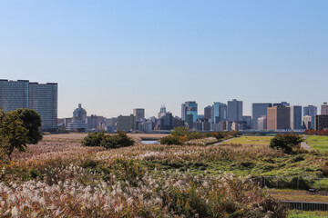 Fototapeta premium 南六郷付近から見た多摩川と川崎の街並み（東京都大田区）