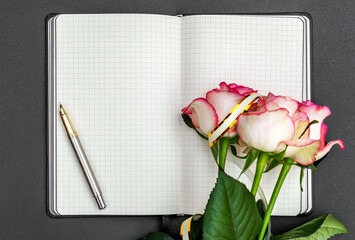 Beautiful roses with pen on the opened blank notepad. Space for text.
