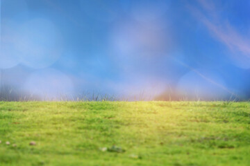 Fototapeta na wymiar Green grasses on blue sky background, Natural concept and copy space idea