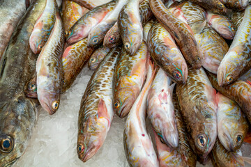 Capbreton, France 27.06.2020 Fresh fishes in a market. Fish caught in the Atlantic ocean