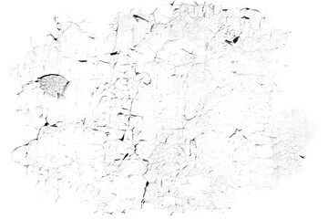 Grunge weathered shabby peeled painted concrete surface wall with big holes and cracks macro for making brush isolated on white background