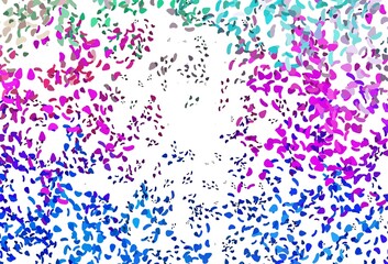 Light Multicolor, Rainbow vector background with abstract forms.