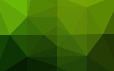 Light Green vector polygon abstract layout.