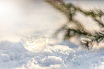 Frozen bubble with ice crystals on snow with fir branch at sunset. Christmas background