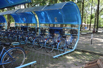 bicycles in the parking lot