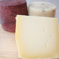 Farmer's cheese crust of cheese with grains inside. the texture as it Matures is handmade. pieces of cheese on a cutting Board in different colors of Derby, caciotta, cheddar