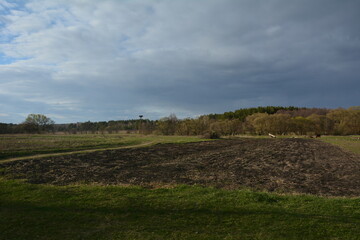 Fototapeta premium clouds over the field