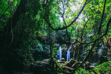 Obraz premium waterfall in the forest or motion of water at brook of water fall. with tree leaf and stone rock. at Spun or Span Nan province, Thailand, Asia.