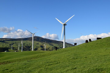 wind turbines for electricity in cattle farm new zealand 