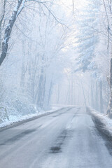 Trees covered with snow in the winter.