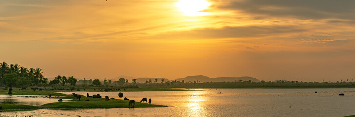sunset over the river and animals