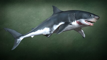 A ferocious toothy shark. 3d illustration