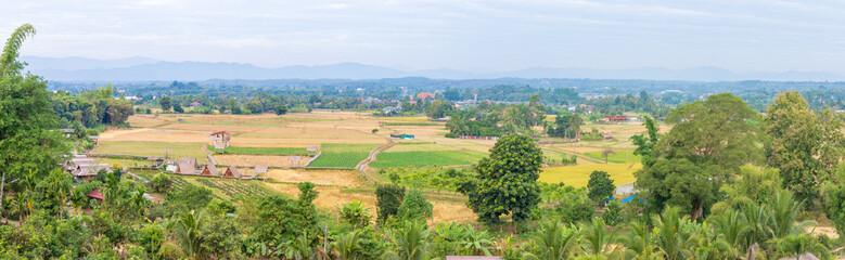 Fototapeta na wymiar Panorama landscape of rice farm with green trees and white cloud at Amphur Pua, Nan Province, Thailand, Asia.