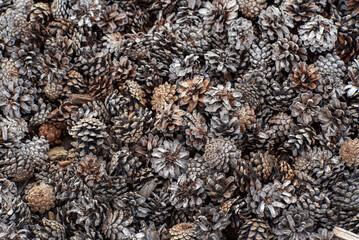 cones in the garden, organic mulch