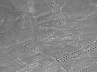 Nazca Lines Geoglyph Condor Peru desert Nasca plateau South America ancient drawings on Earth soil....