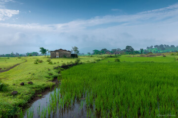 Fototapeta na wymiar Rainy Landscape at Bhandardara, India