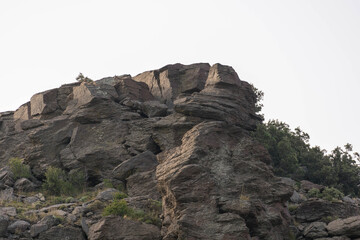 mountain goats on top of the rock
