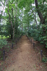 姉の彼氏が恋する公園