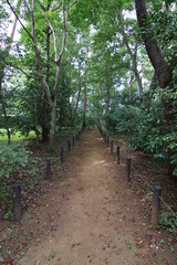 姉の彼氏が恋する公園