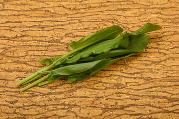 Aroma Fresh green sorrel heap