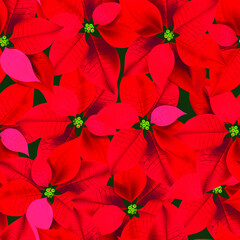 Christmas Winter Poinsettia Flowers. Seamless background, floral pattern. Printing on textiles, paper.