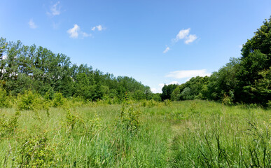 Obraz premium Palaiseau forest in Ile de France country