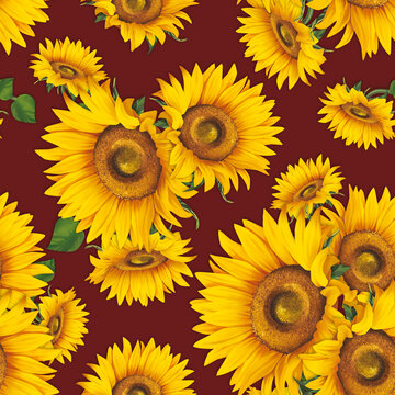 Seamless pattern with sunflower on background. Collection decorative floral design elements. Flowers, buds and leaf hand drawn
