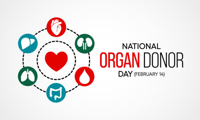 Fototapeta na wymiar Vector illustration on the theme of National Organ Donor day observed each year on February 14th.