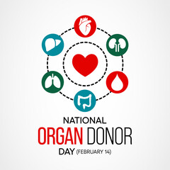 Vector illustration on the theme of National Organ Donor day observed each year on February 14th.