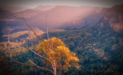 Scenes from The Three Sisters at Katoomba, The Blue Mountains National Park, NSW, Australia