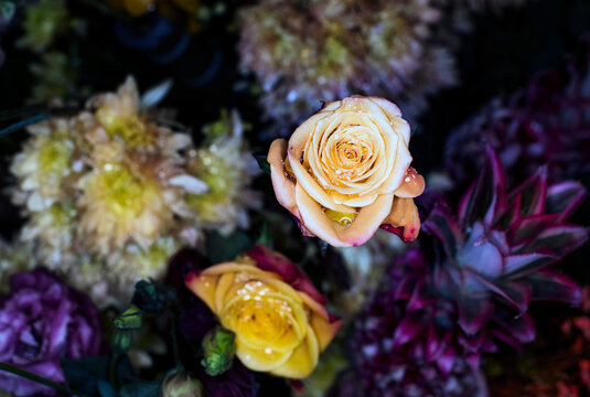 Close-up of a mixed bouquet of roses,summer flowers background. © warasit