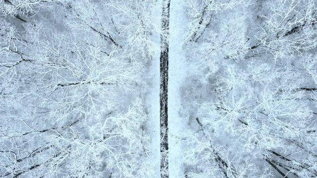 overhead view of trail in winter forest camera moving down